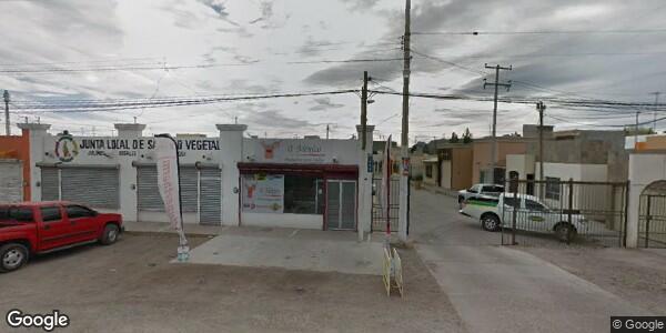 JUNTA LOCAL DE SANIDAD VEGETAL